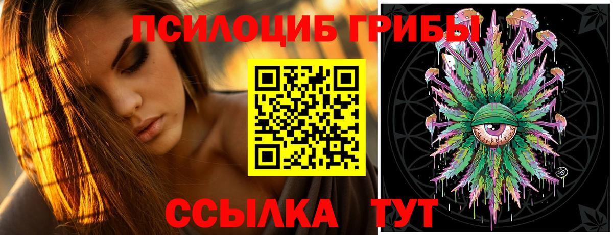 Галлюциногенные грибы Cubensis  Вход с VPN  Озёрск 
