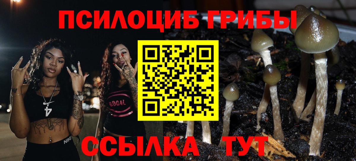 Псилоцибиновые грибы ЛСД Озёрск